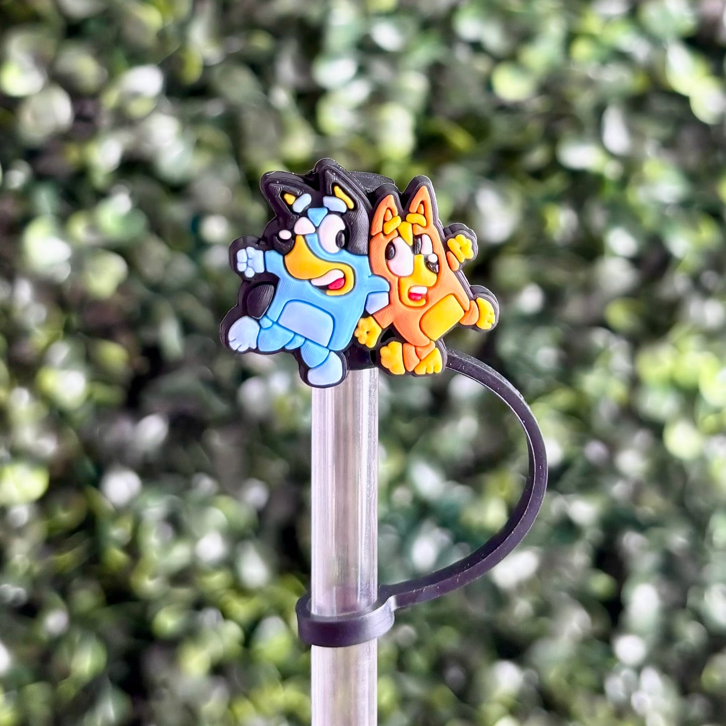 Bluey & Bingo Straw Topper