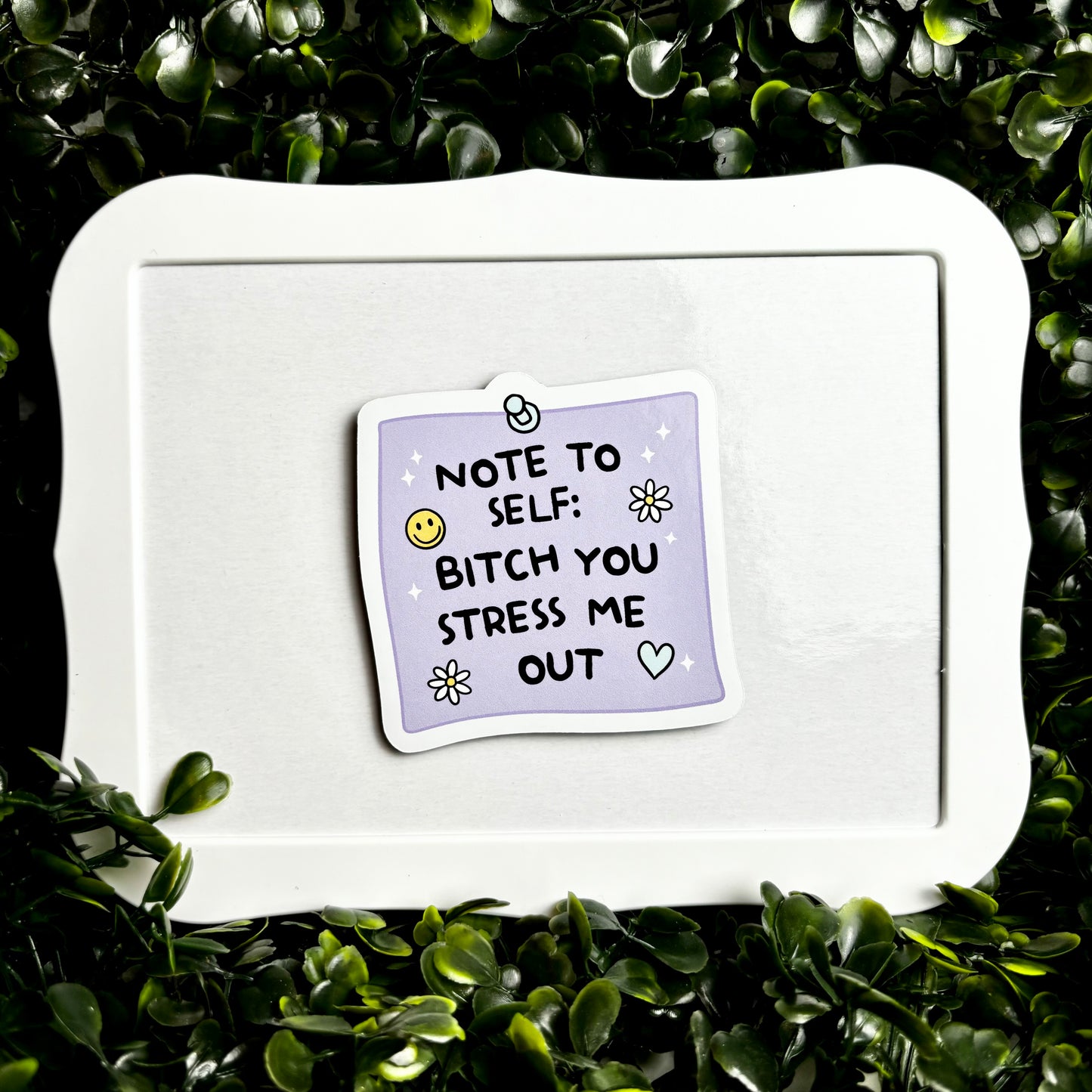 Note to Self: Bitch you Stress me Out Magnet