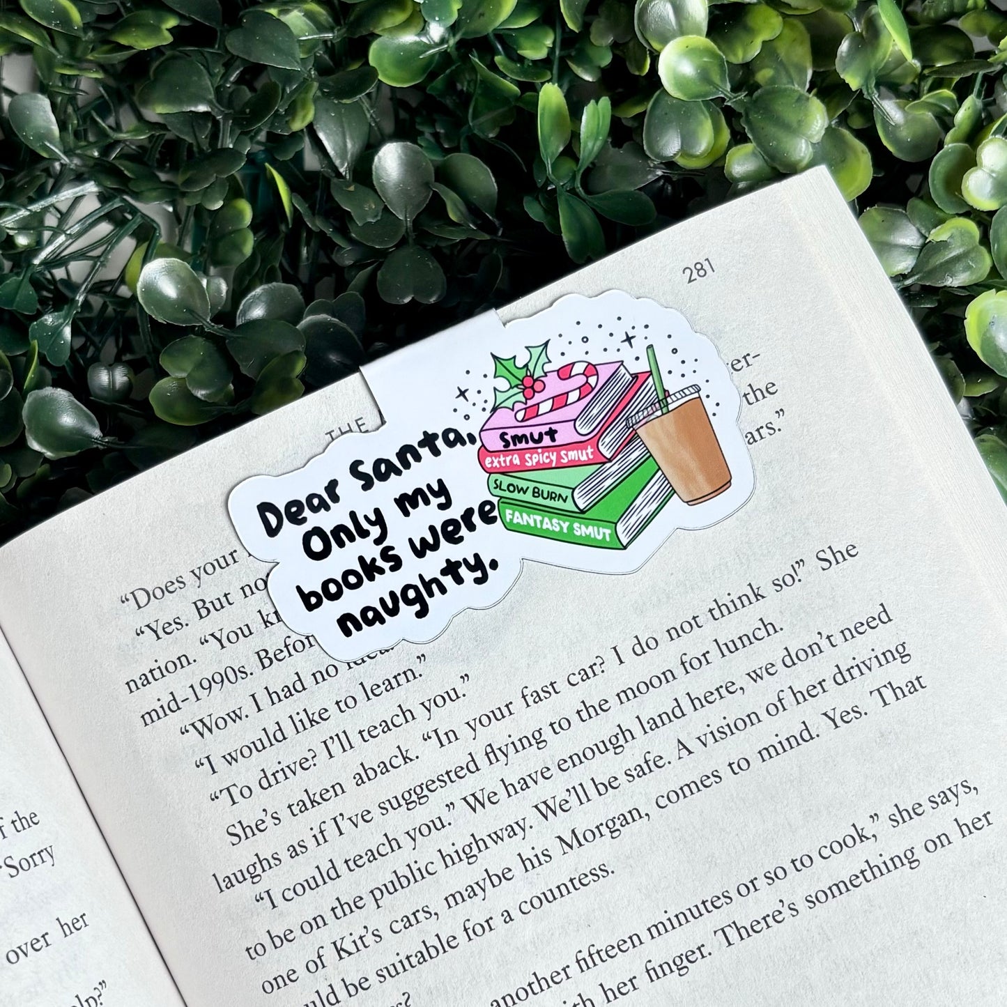 Dear Santa, Only my Books Were Naughty Magnetic Bookmark