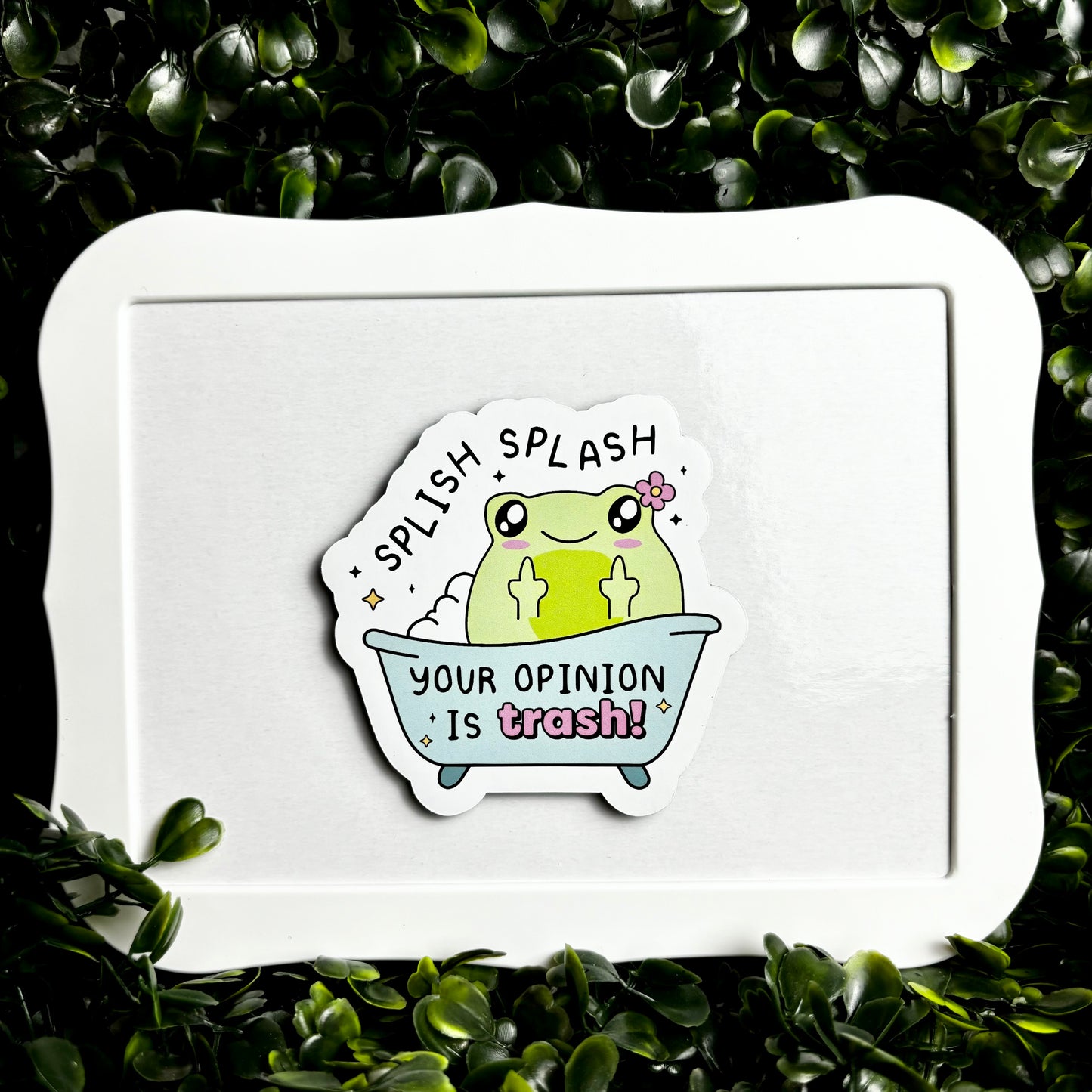 Splish Splash your Opinion is Trash Magnet