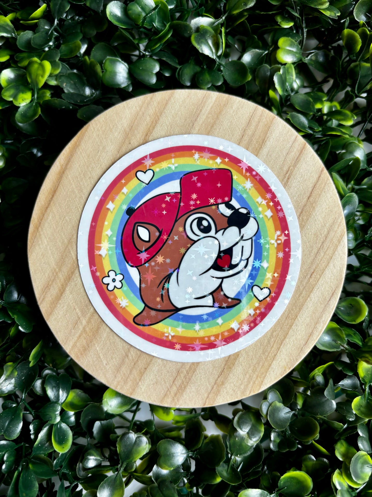 Rainbow Beaver Sticker