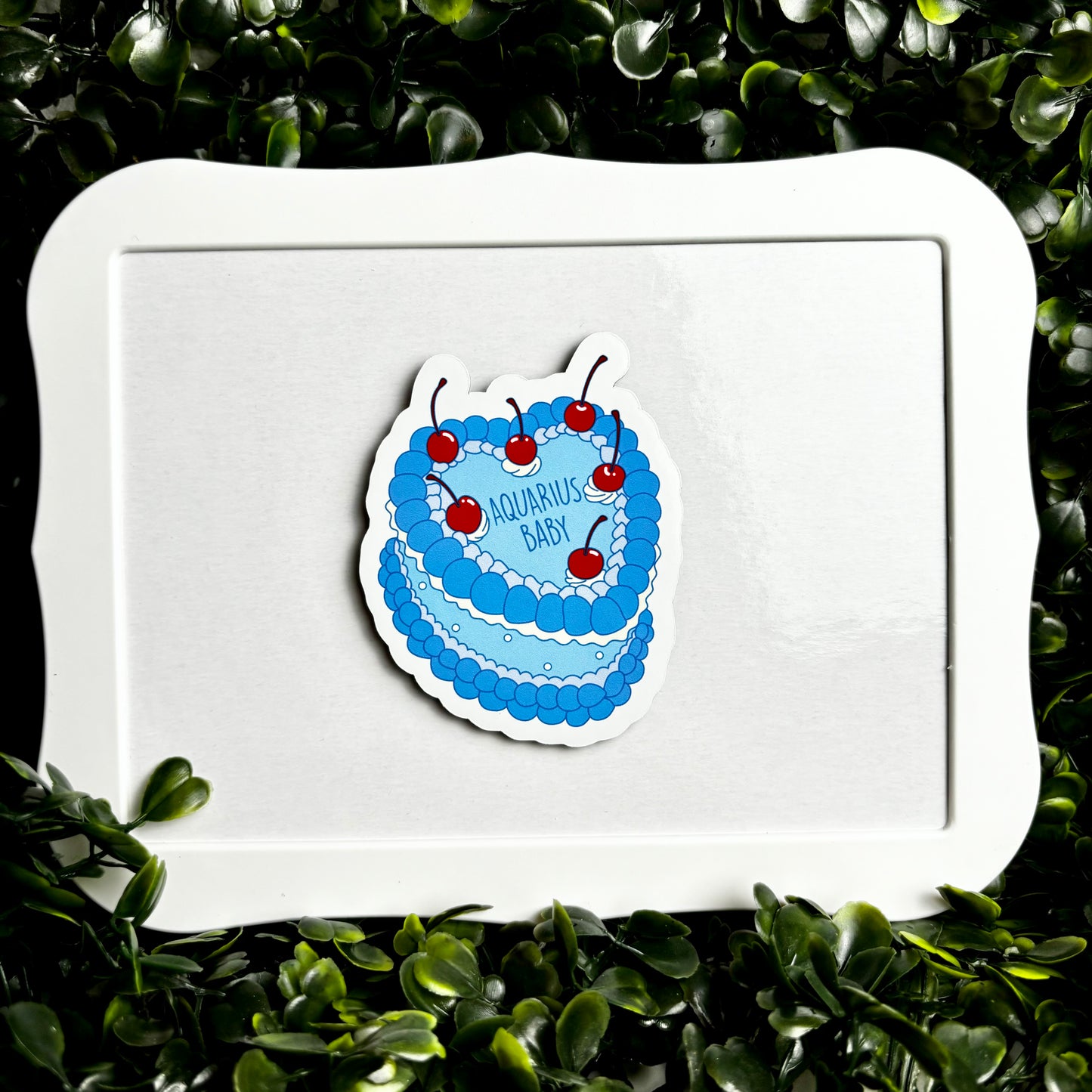 Aquarius Baby Cake Magnet