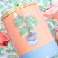Monstera Clear Sticker