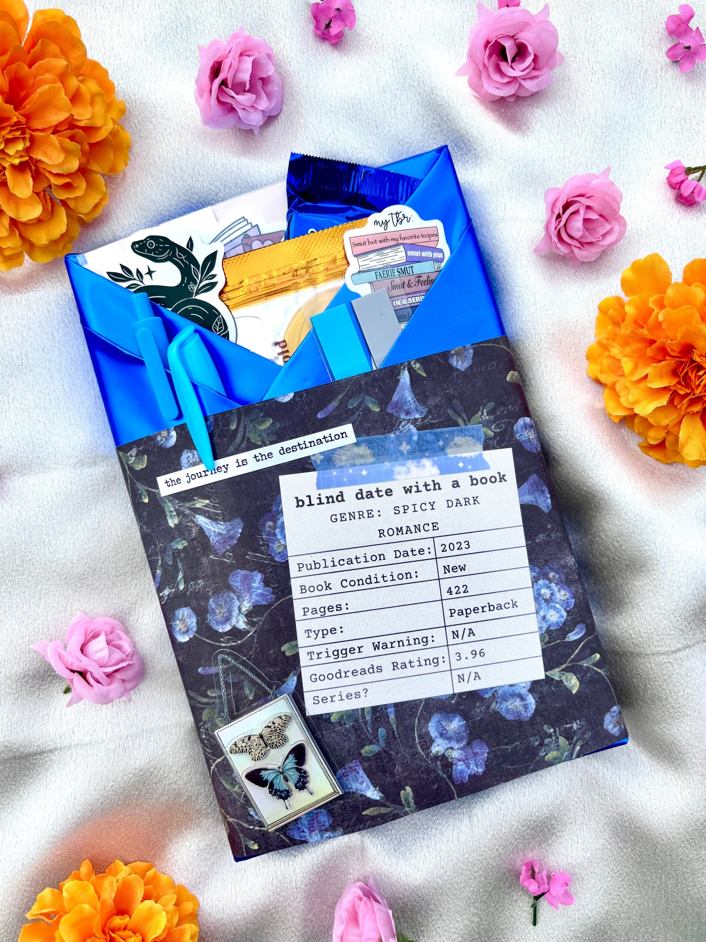 Blind Date with a Book (Choose Your Genre)